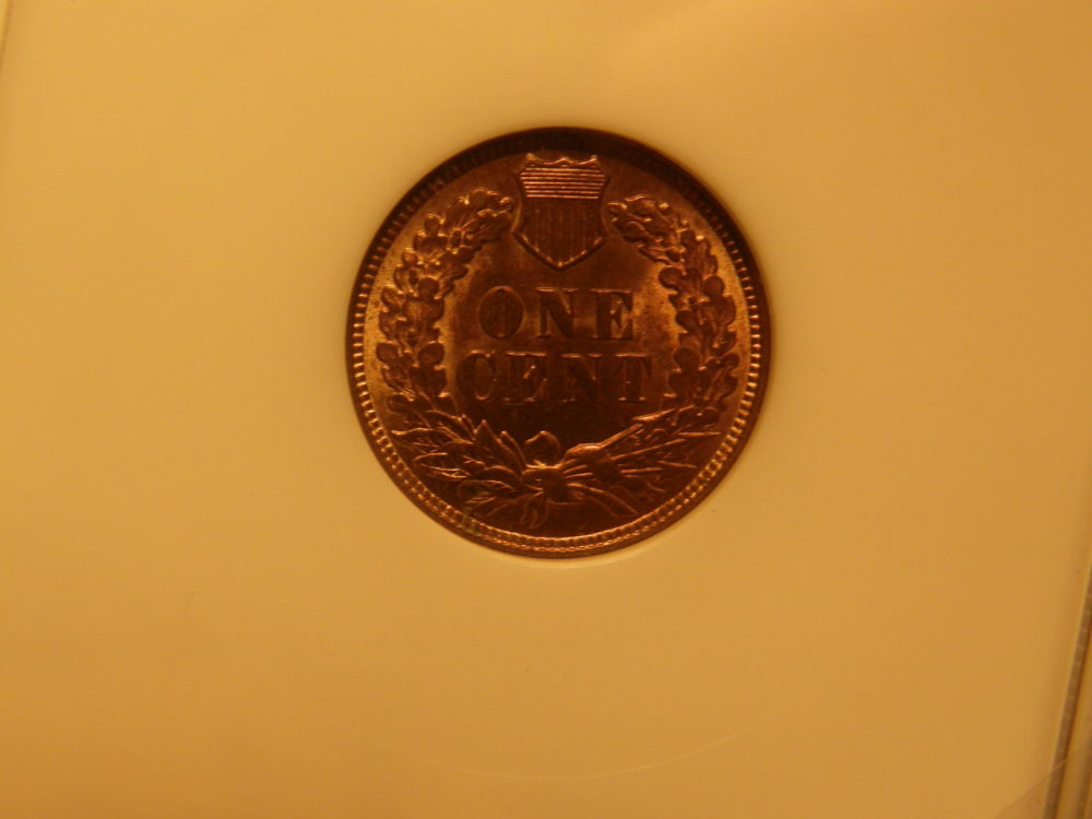 1908-Indian-Head-Cent-Guess-The-Grade-Results-Posted